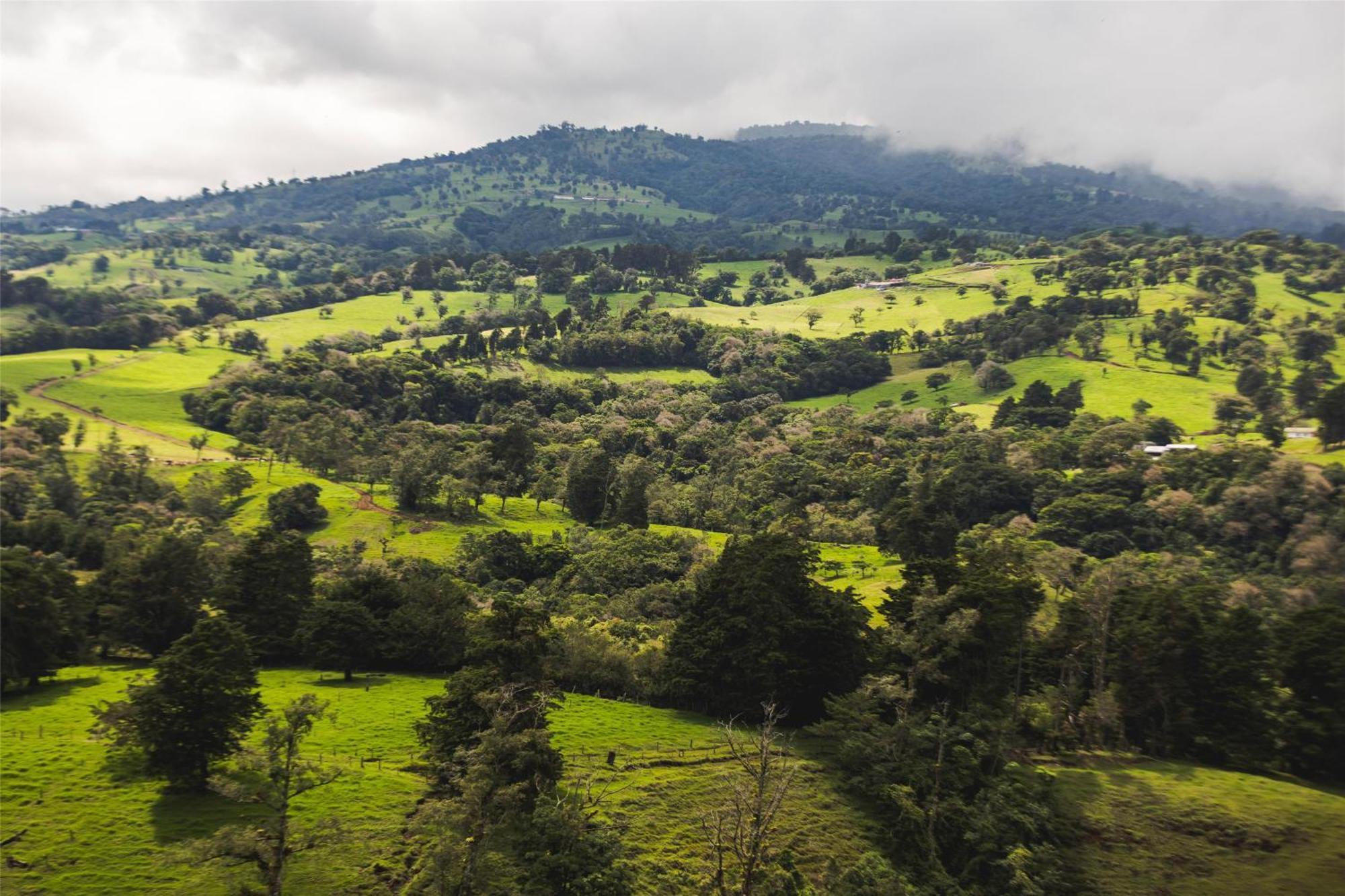 Hyatt Centric San Jose Escazu Hotel Kültér fotó